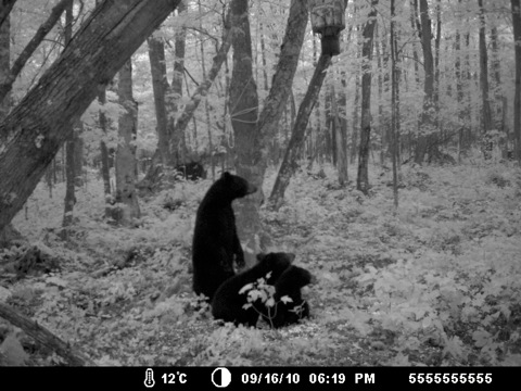 Ours